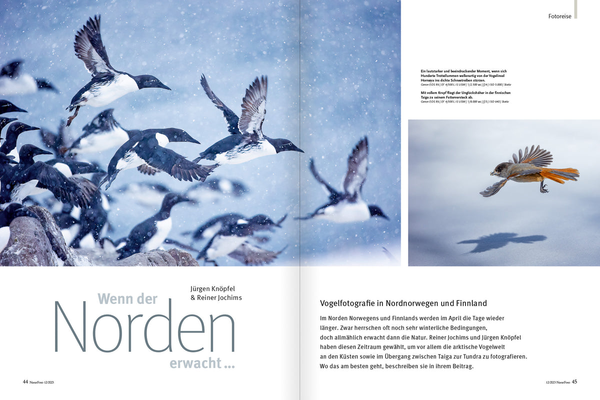 NaturFoto 12/2023 - Bild 7