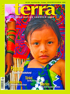 terra 1/2013