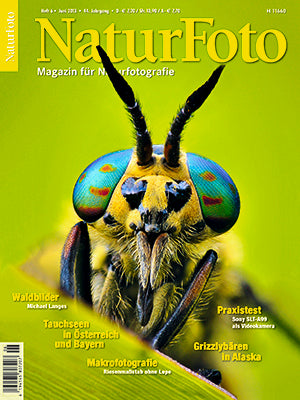 NaturFoto 6/2013