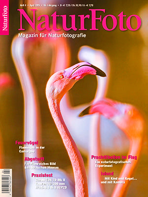 NaturFoto 4/2015