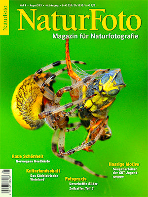 NaturFoto 8/2015