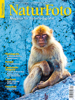 NaturFoto 4/2016