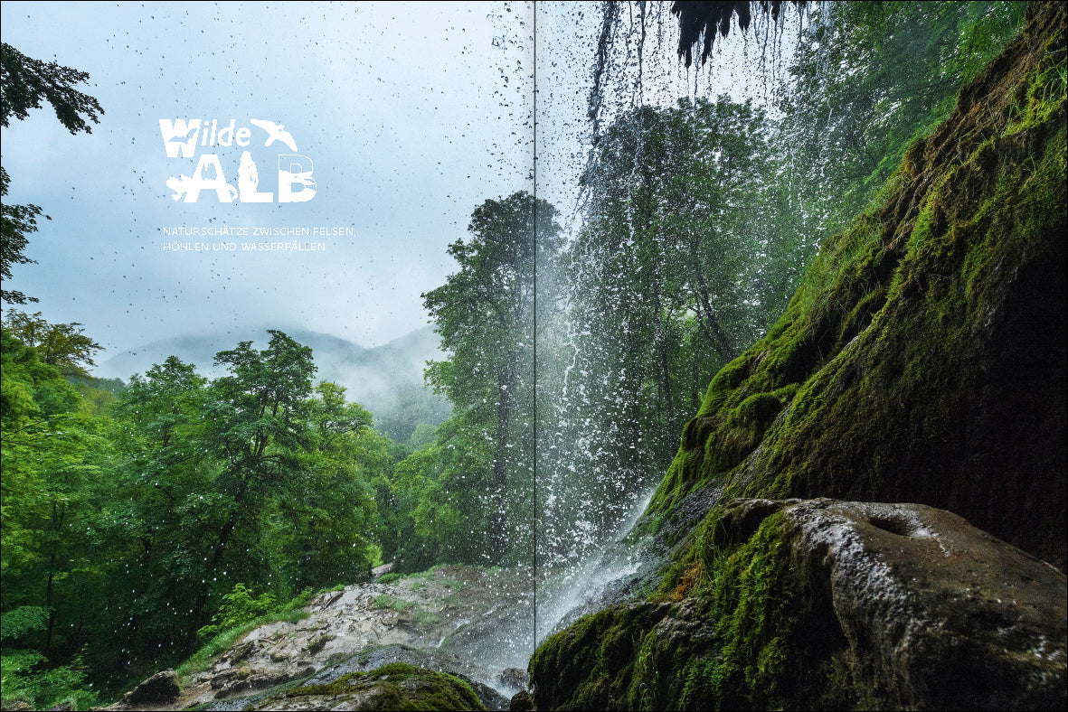 forum naturfotografie 3/2019 - Bild 5