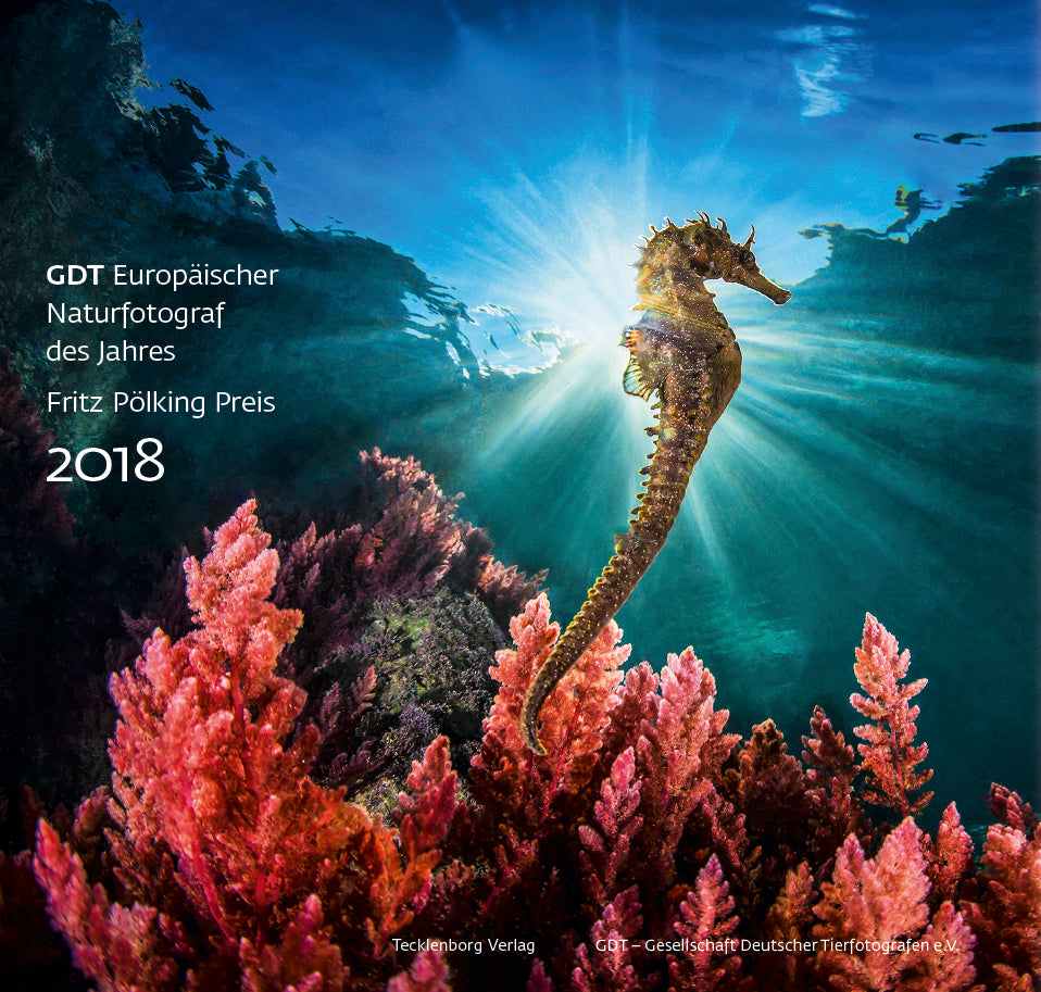 Europäischer Naturfotograf des Jahres 2018