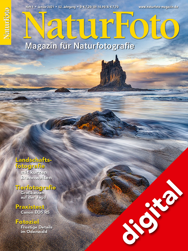 NaturFoto 1/2021