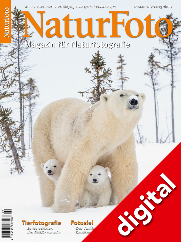 NaturFoto 2/2021