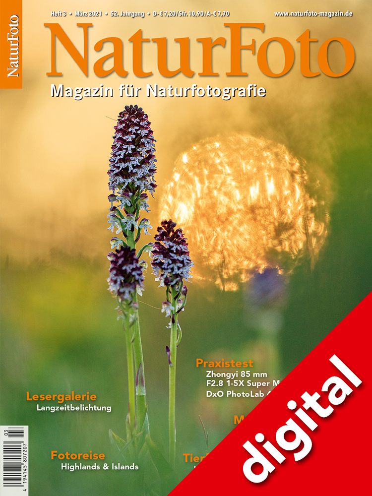 NaturFoto 3/2021
