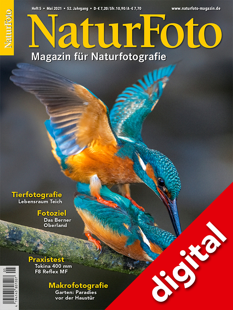 NaturFoto 5/2021