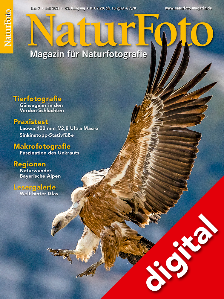 NaturFoto 7/2021