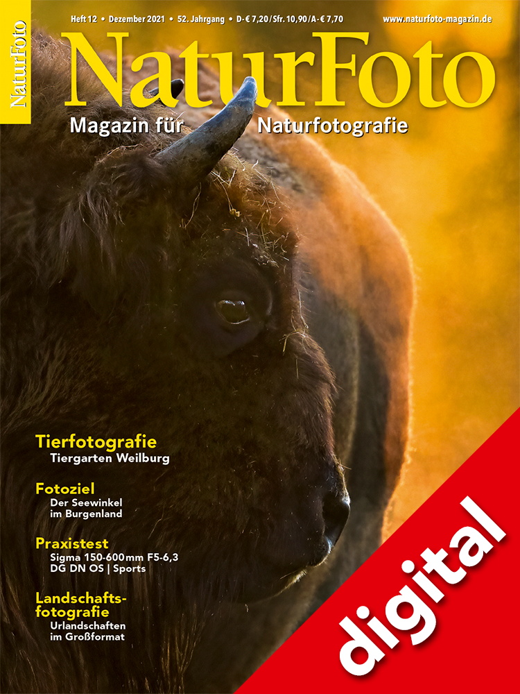 NaturFoto 12/2021