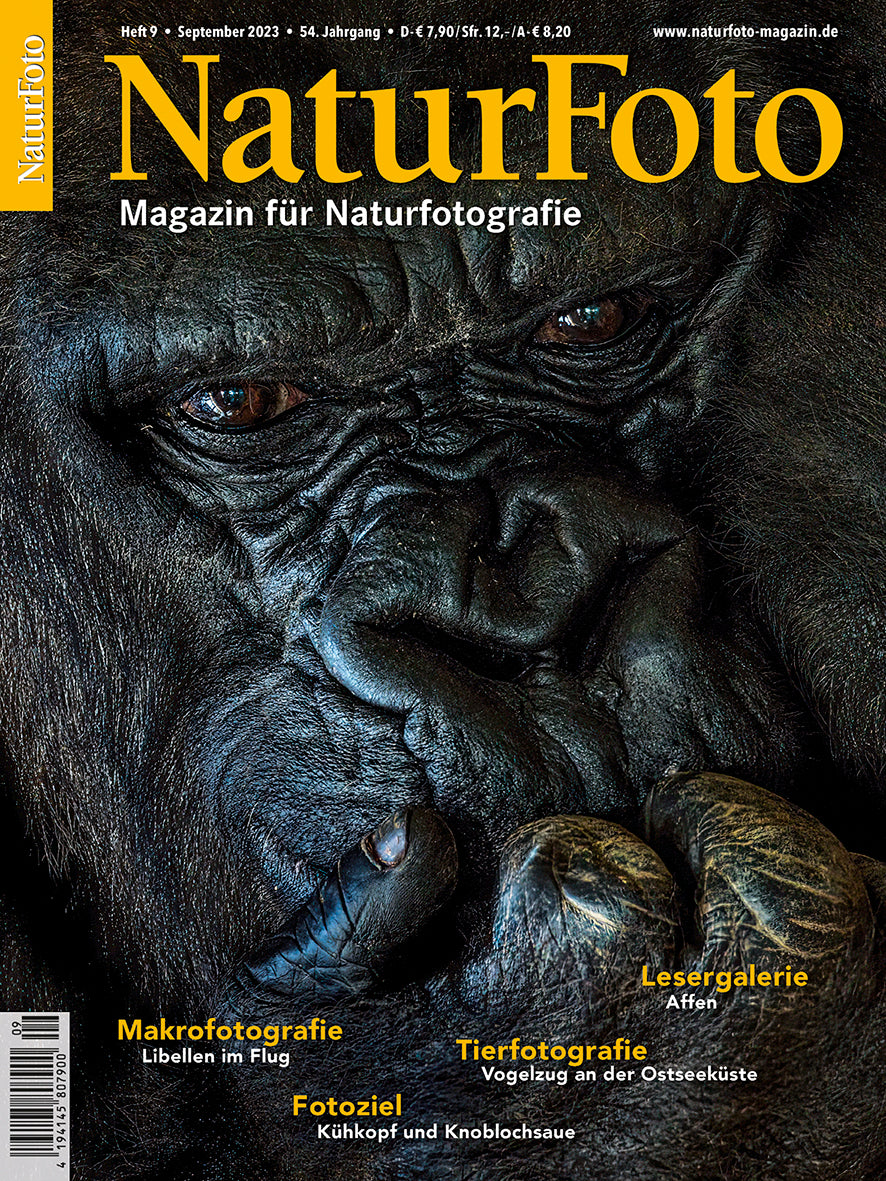 NaturFoto 9/2023