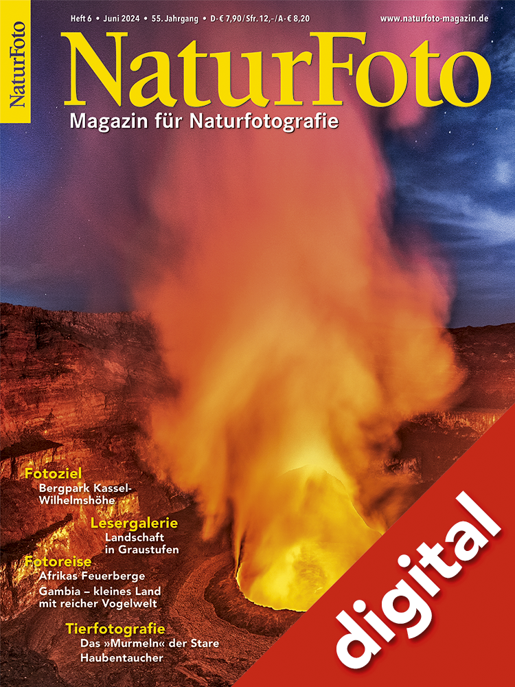 NaturFoto 6/2024 Digital
