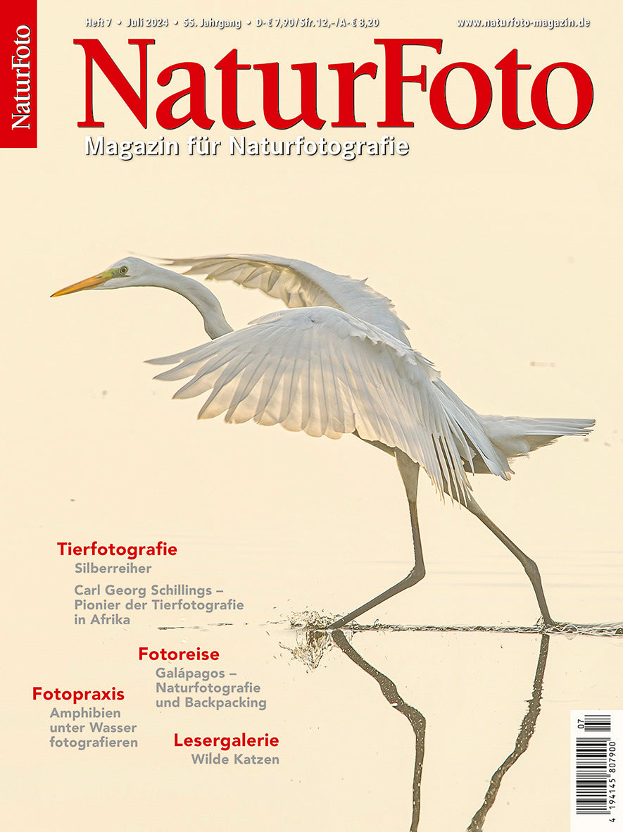 NaturFoto 7/2024