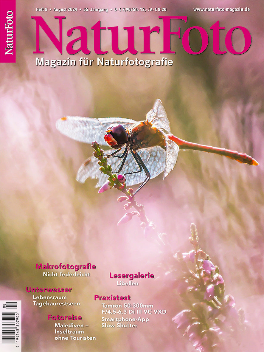 NaturFoto 8/2024