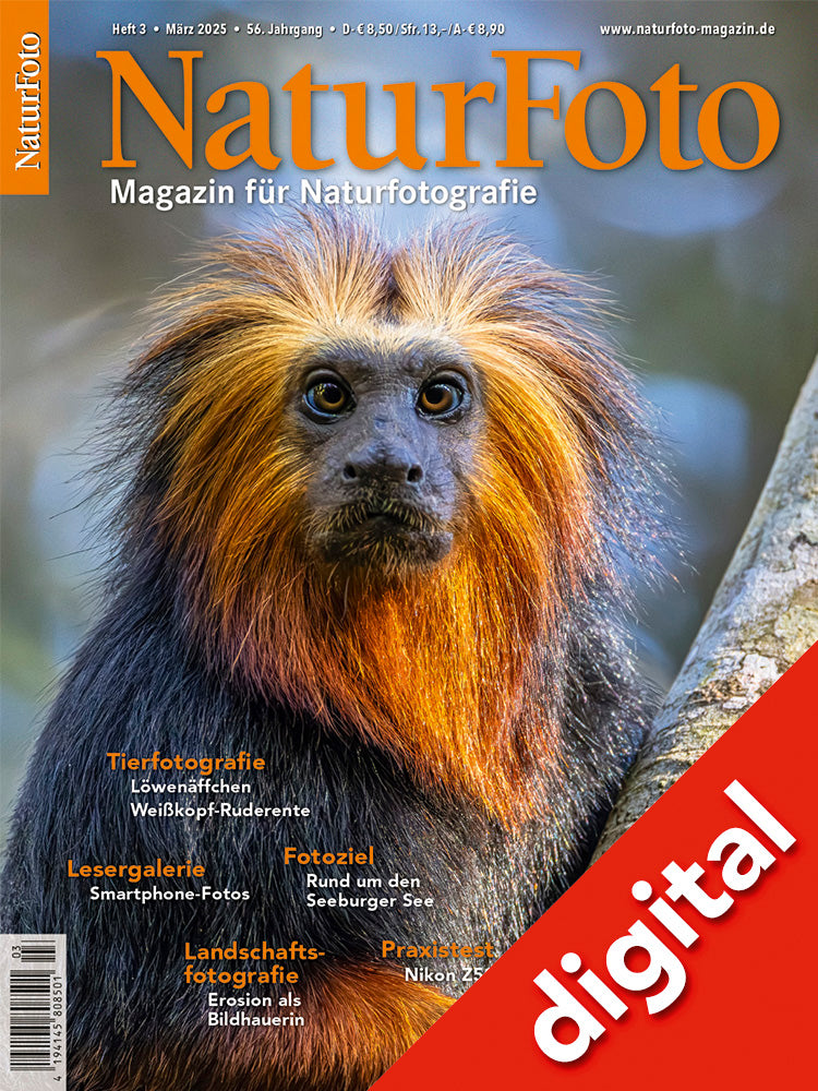 NaturFoto 3/2025 Digital