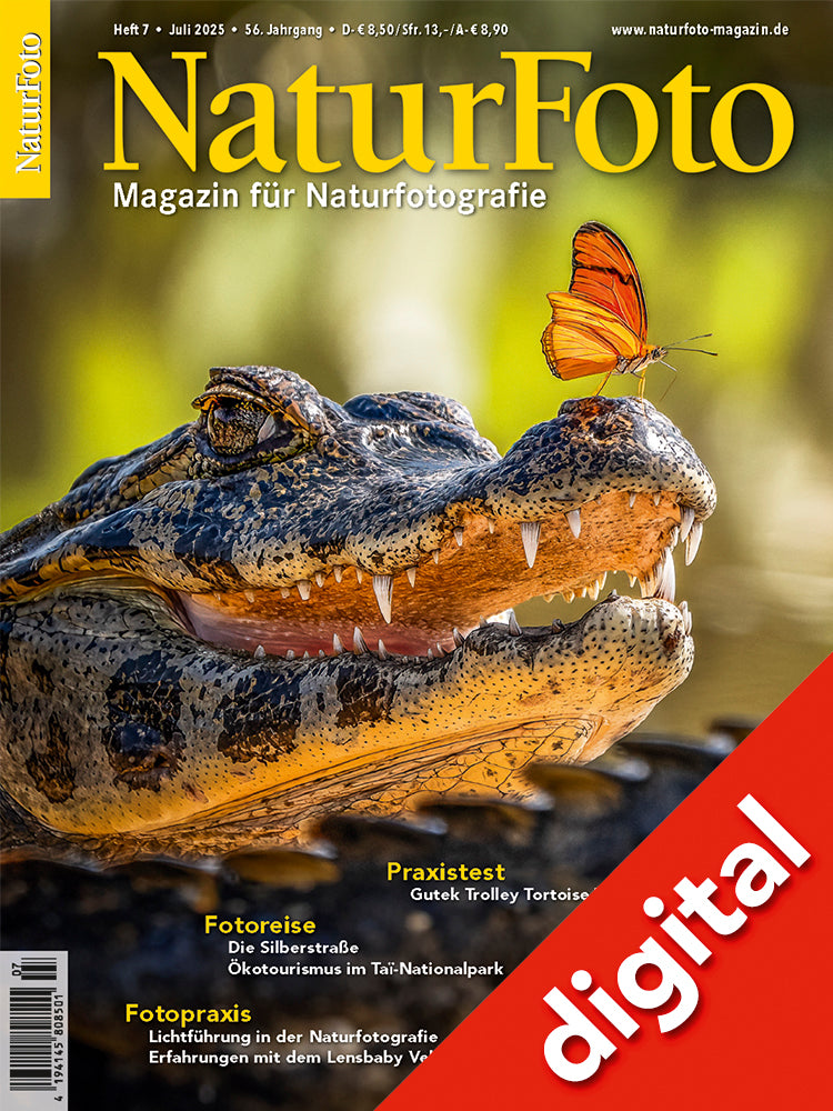NaturFoto 7/2025 Digital