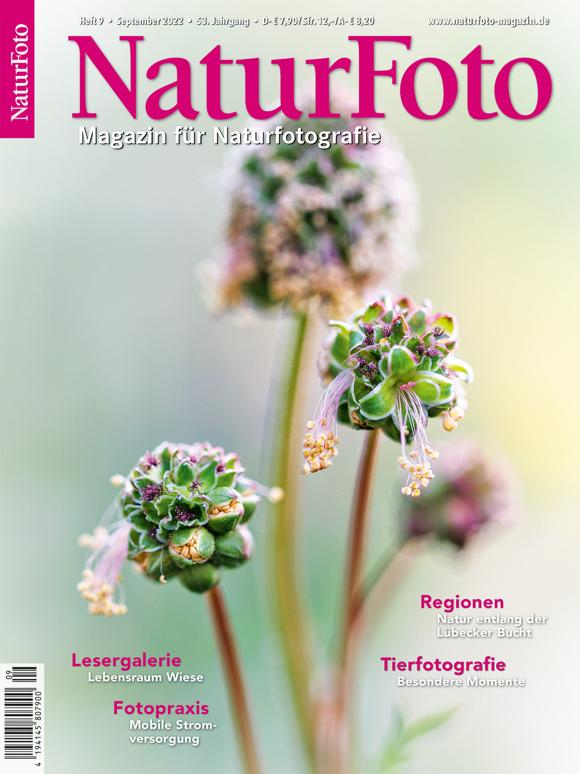 NaturFoto 9/2022 - Bild 7