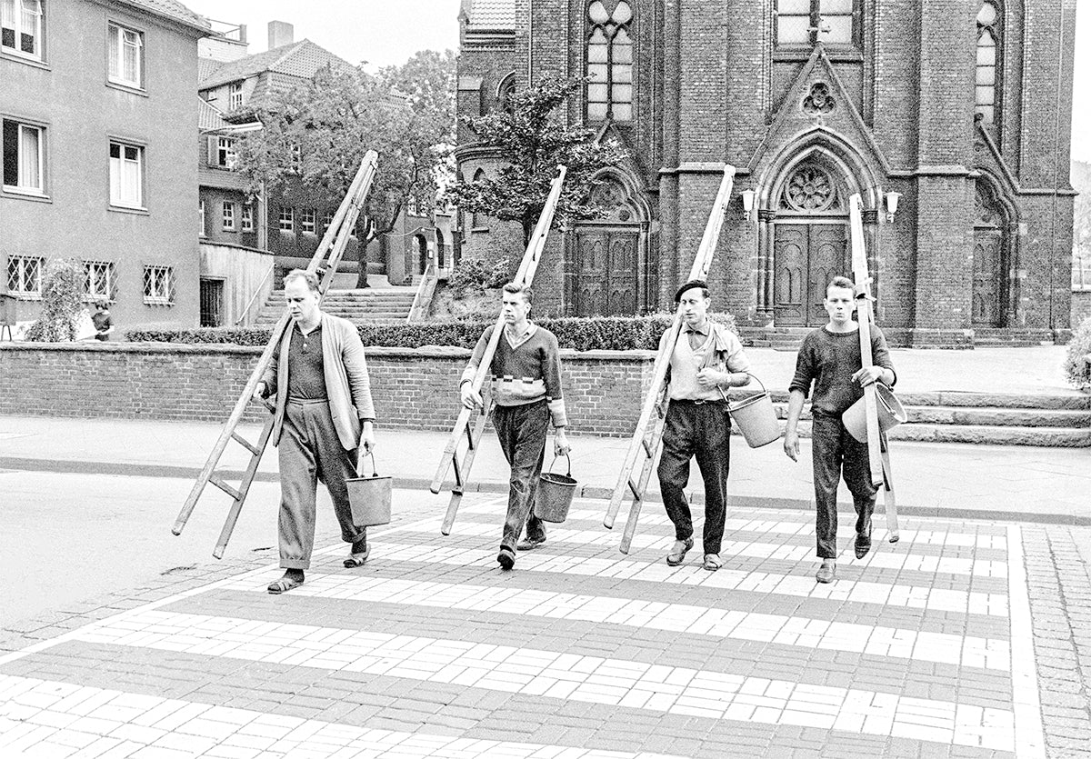 Täglich Bilder fürs Revier - Bild 7
