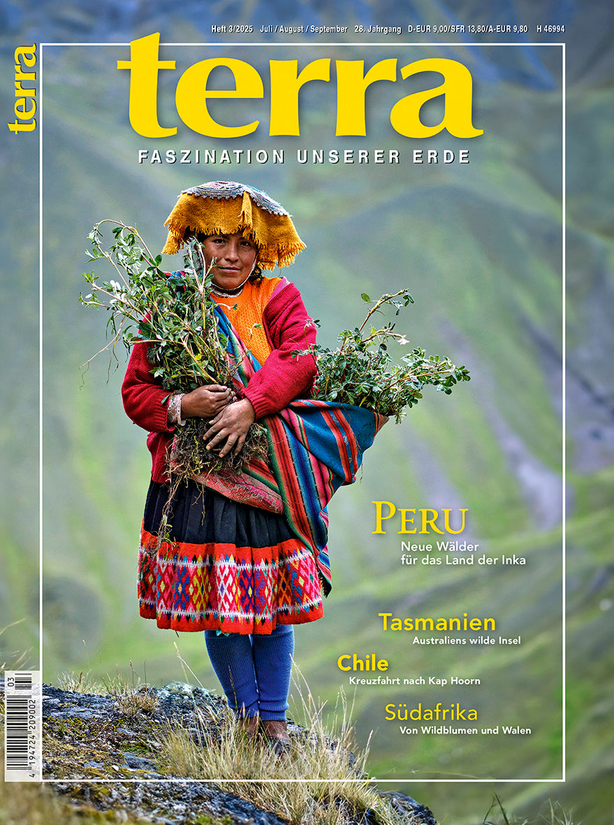 terra 3/2025