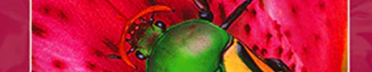 Aktuelle Angebote - Magazine