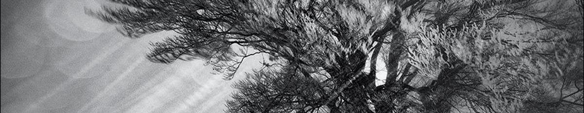 forum naturfotografie