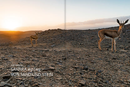 forum naturfotografie 3/2021 - Bild 4