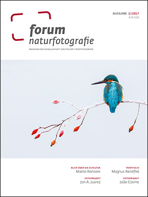 forum naturfotografie 1/2017