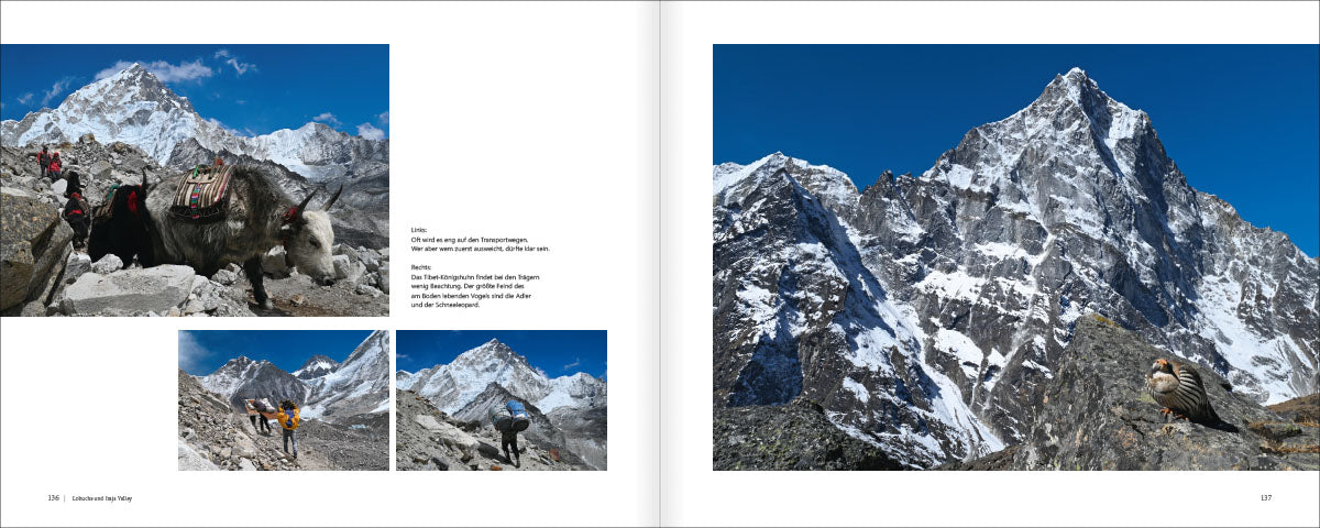 Im Leben der Sherpa - Bild 7