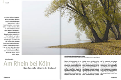 NaturFoto 10/2021 - Bild 2