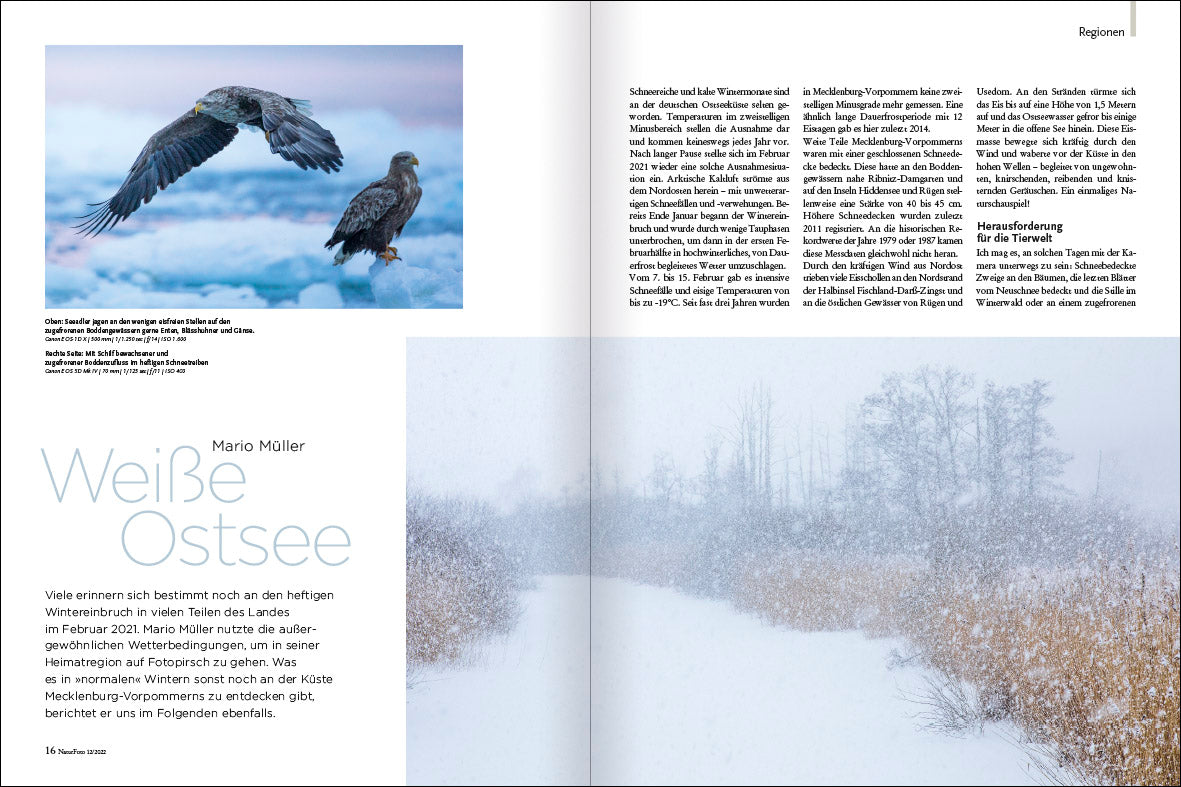 NaturFoto 12/2022 - Bild 6