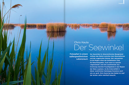 NaturFoto 12/2021 - Bild 2