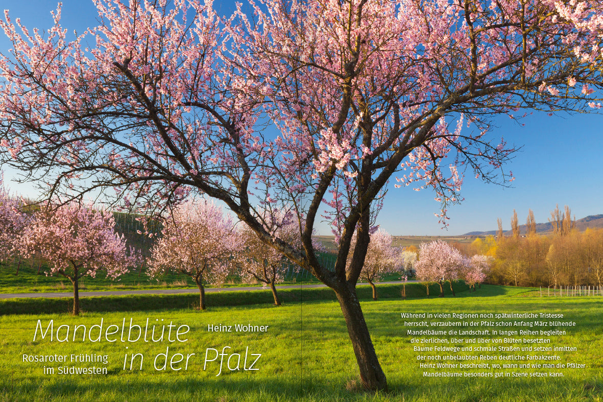 NaturFoto 2/2023 - Bild 2