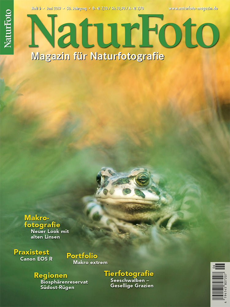 NaturFoto 6/2019
