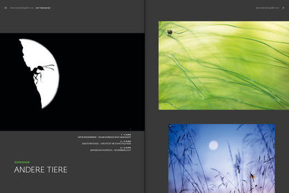 forum naturfotografie 2/2019 - Bild 4