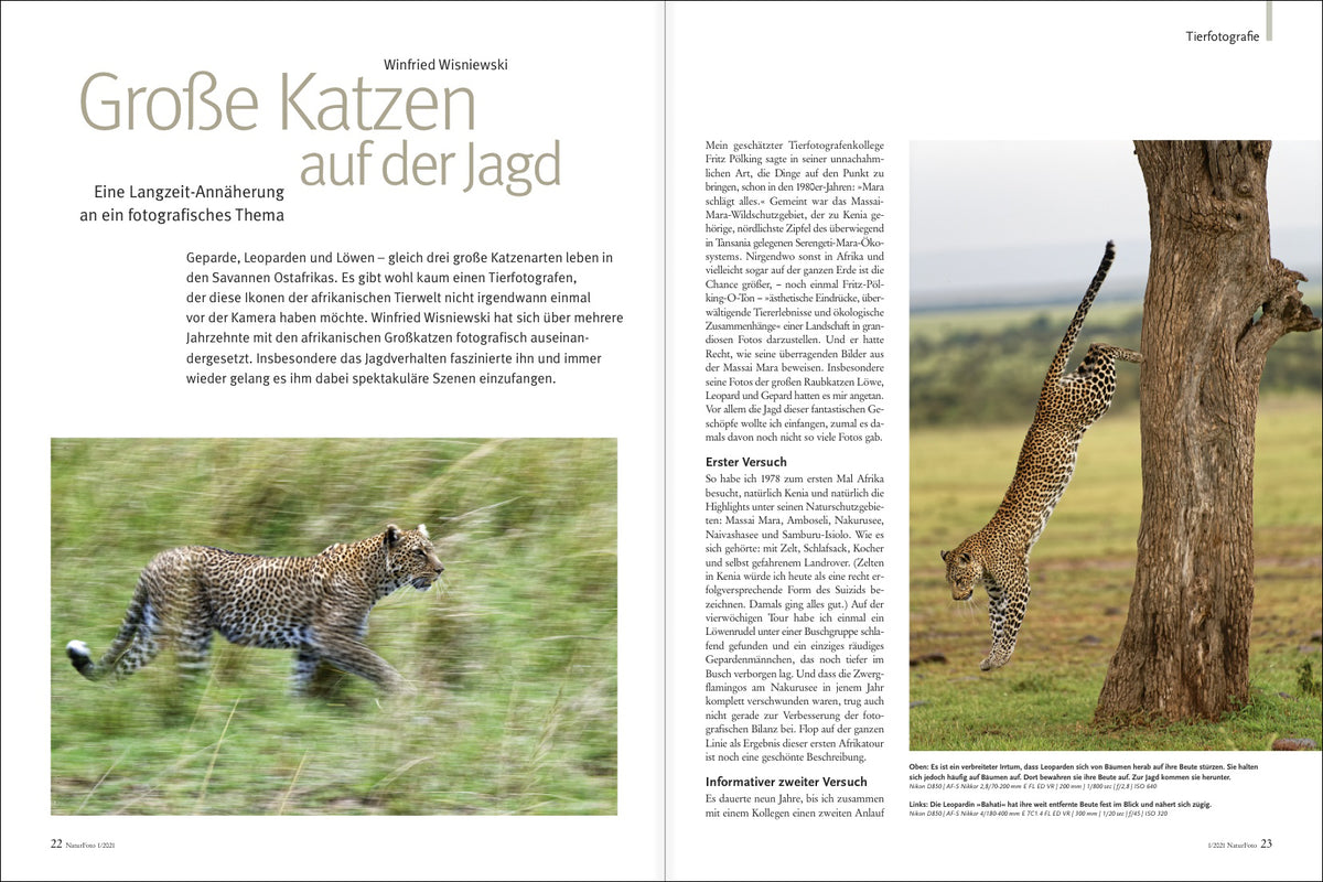 NaturFoto 1/2021 - Bild 7
