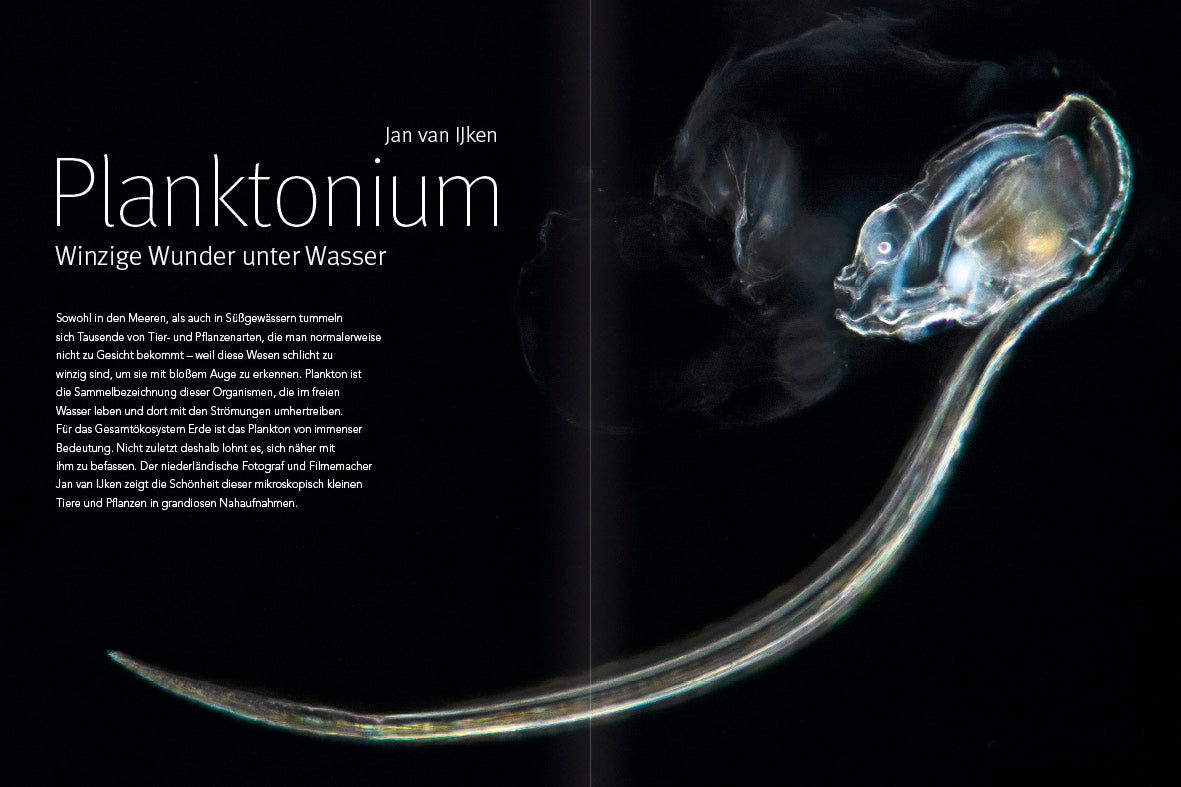 NaturFoto 12/2022 - Bild 5