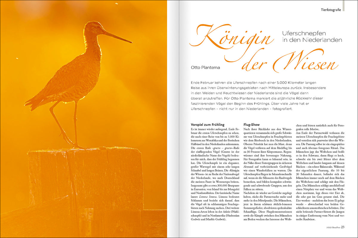 NaturFoto 3/2023 - Bild 3