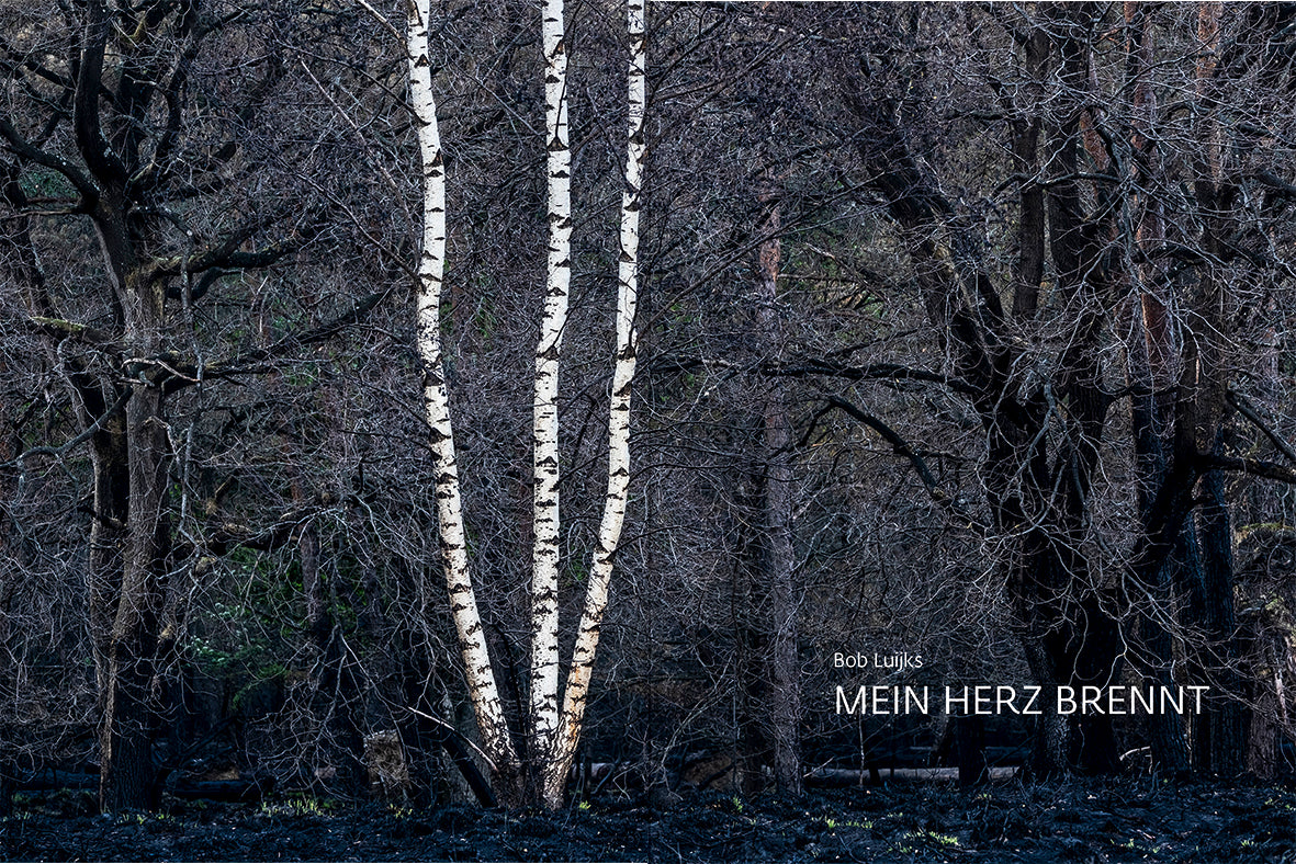 forum naturfotografie 3/2021 - Bild 2