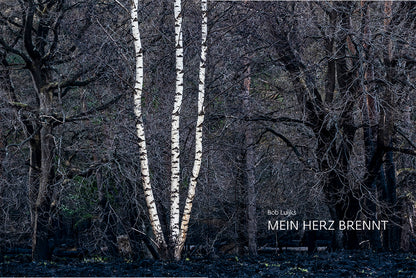 forum naturfotografie 3/2021 - Bild 2