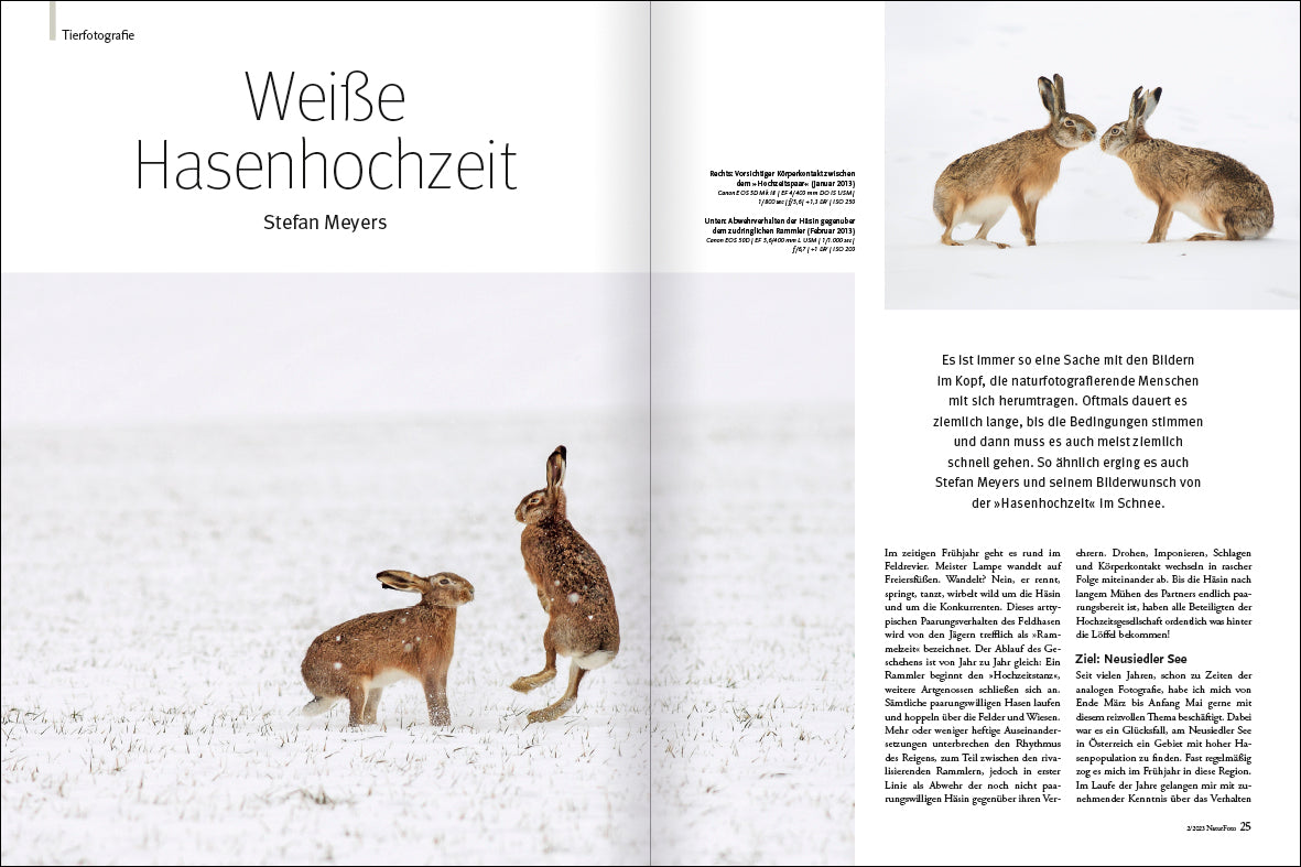 NaturFoto 2/2023 - Bild 3