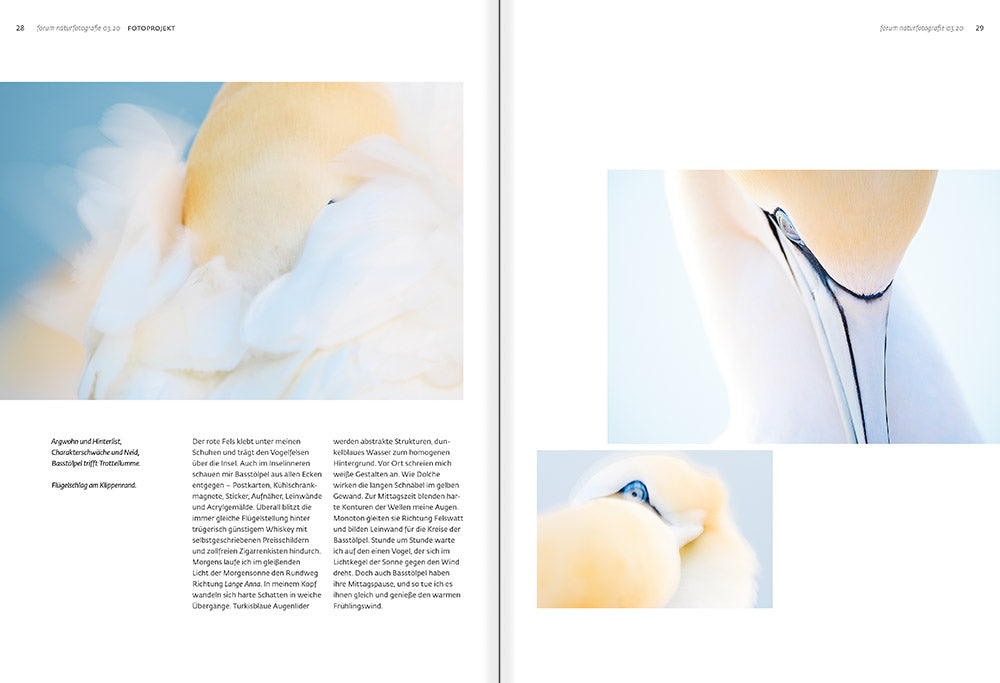 forum naturfotografie 3/2020 - Bild 3