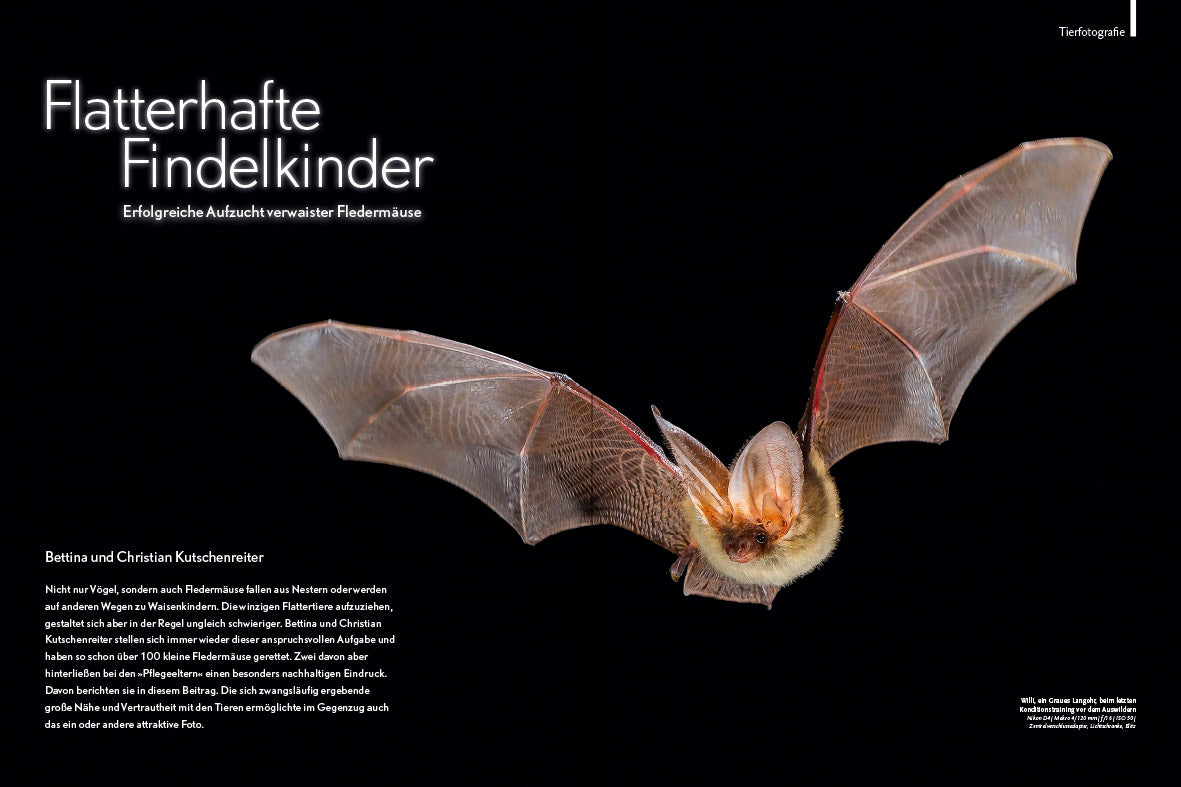 NaturFoto 12/2021 - Bild 5