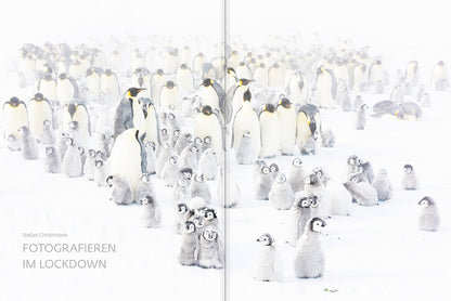 forum naturfotografie 4/2020 - Bild 4