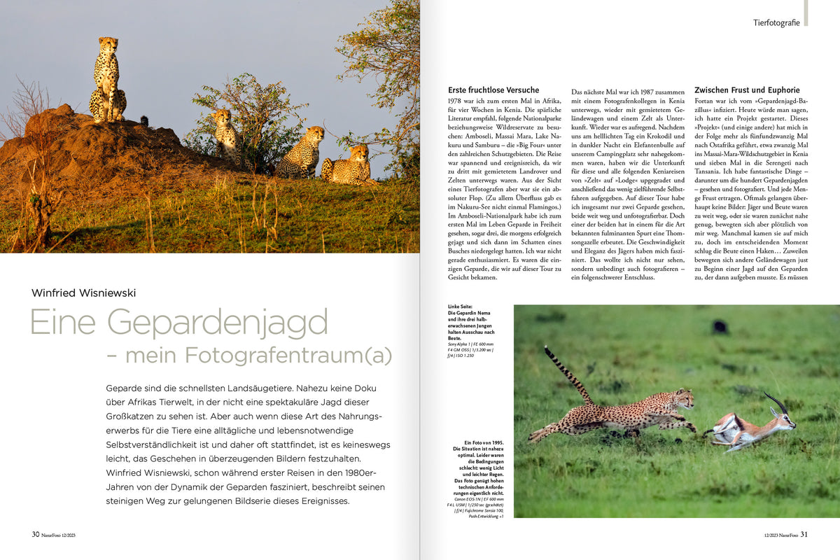 NaturFoto 12/2023 - Bild 6