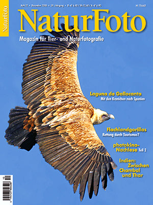 NaturFoto 12/2008