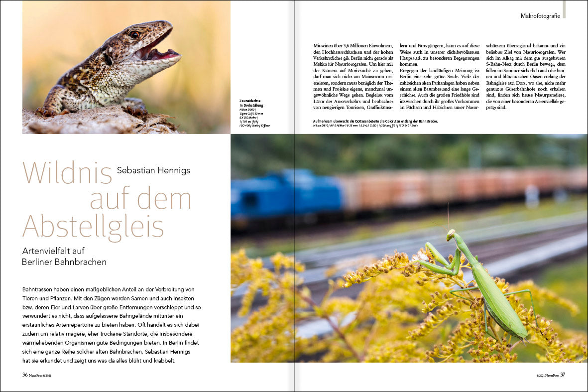 NaturFoto 8/2021 - Bild 7