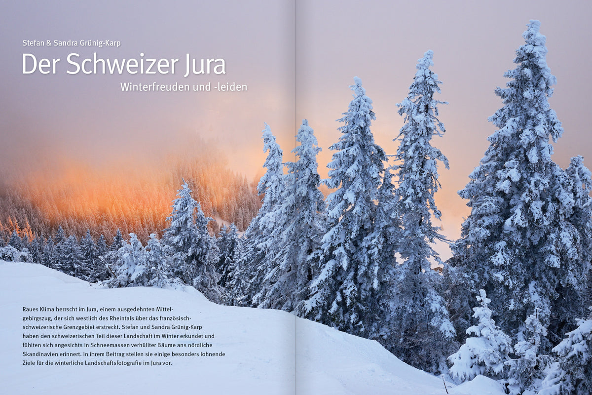 NaturFoto 12/2023 - Bild 3