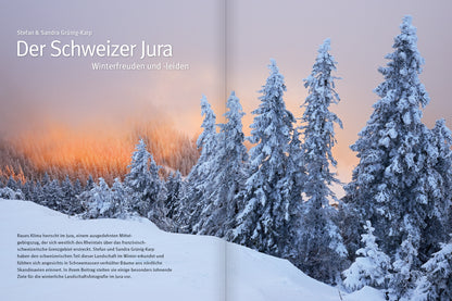 NaturFoto 12/2023 - Bild 3