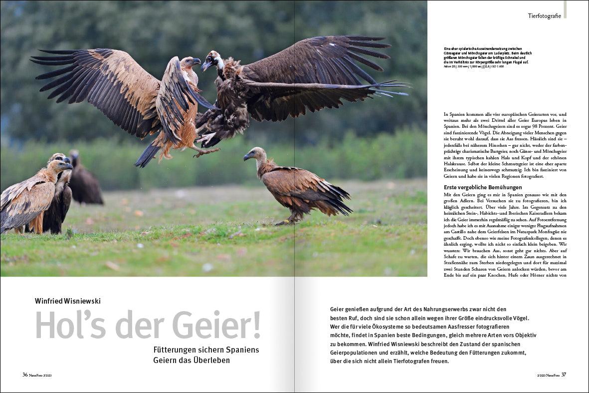 NaturFoto 2/2023 - Bild 5