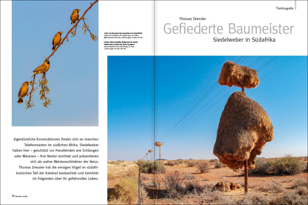 NaturFoto 12/2021 - Bild 7